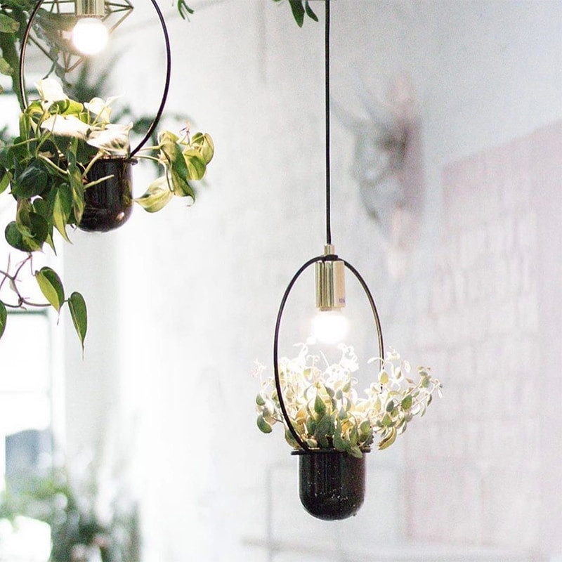 Suspension luminaire avec plante design sur CDC Design