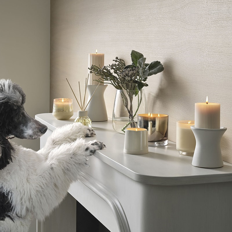 Bougie parfumée cardamome, feuilles persistantes et éclats d'agrumes en verre avec couvercle 590g Illume - Winter White 