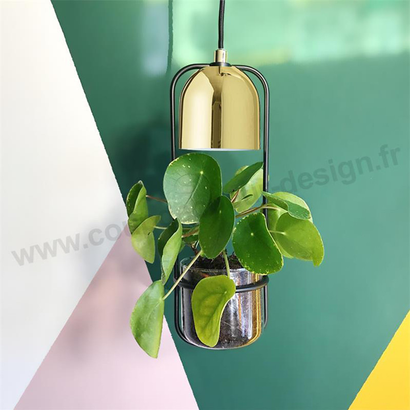 Suspension luminaire avec plante Bloomingville - Tropicale Référence :  CD_Lu34D