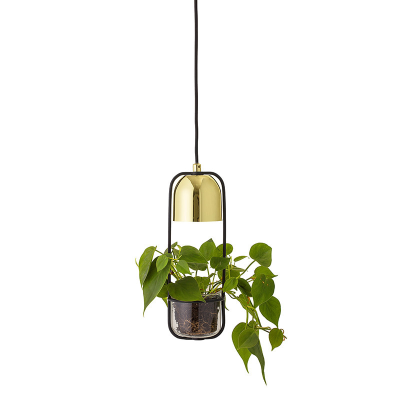 Suspension luminaire avec plante Bloomingville doré