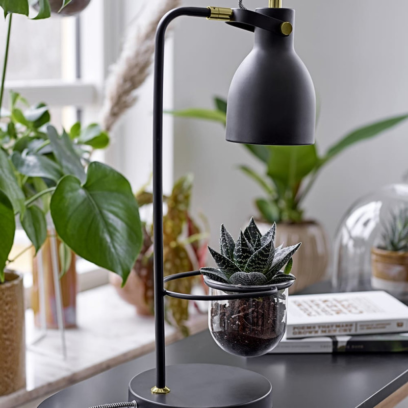 Lampe noire porte plante verte Bloomingville - Plant